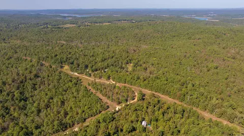 1713 Wolf Rd, Dolph, AR 72528 photo 6