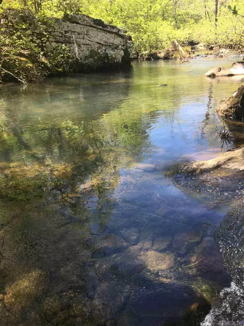 5 Jackson County Rd, Bradford, AR 72020 photo 7