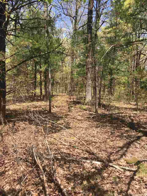 5 Jackson County Rd, Bradford, AR 72020 photo 14
