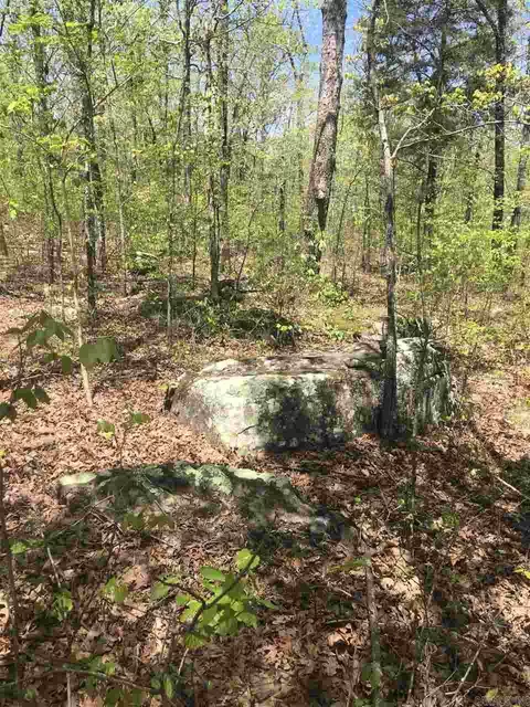 5 Jackson County Rd, Bradford, AR 72020 photo 12