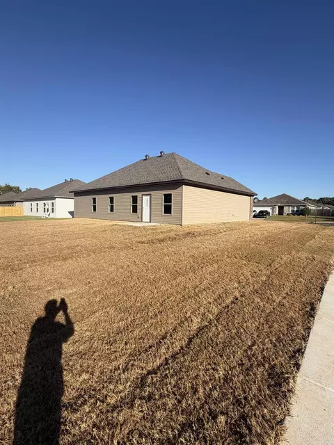 Exterior - 6566 Amalie Dr, Alexander, AR 72002 photo 3 of 3