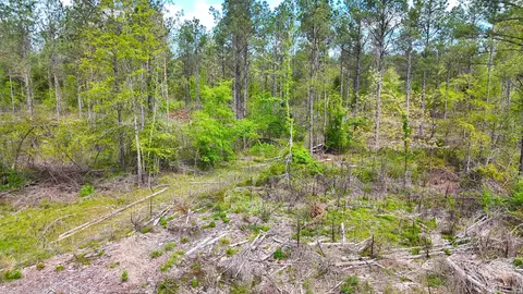 tbd Kadoha Rd, Murfreesboro, AR 71958 photo 18