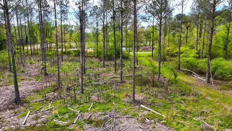 tbd Kadoha Rd, Murfreesboro, AR 71958 photo 19