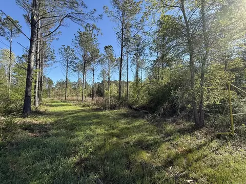 tbd Kadoha Rd, Murfreesboro, AR 71958 photo 2