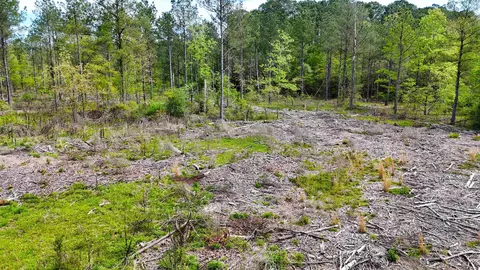 tbd Kadoha Rd, Murfreesboro, AR 71958 photo 22