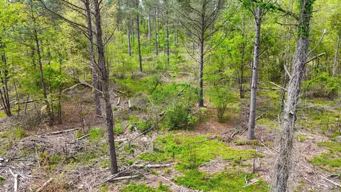 tbd Kadoha Rd, Murfreesboro, AR 71958 photo 17