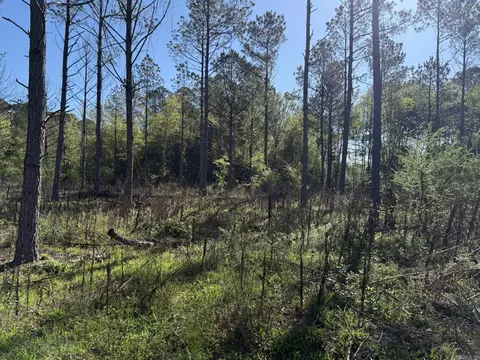 tbd Kadoha Rd, Murfreesboro, AR 71958 photo 30