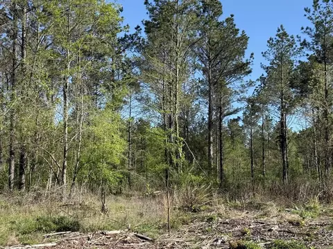 tbd Kadoha Rd, Murfreesboro, AR 71958 photo 29