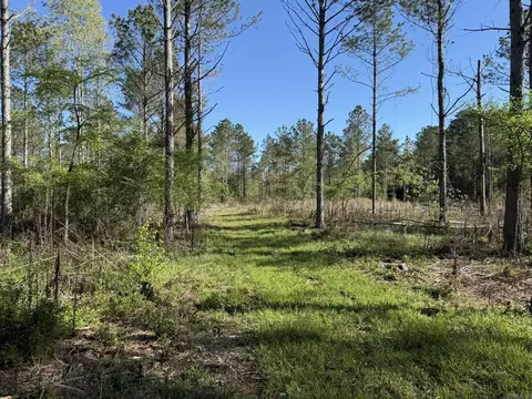 tbd Kadoha Rd, Murfreesboro, AR 71958 photo 31