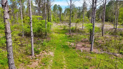 tbd Kadoha Rd, Murfreesboro, AR 71958 photo 23