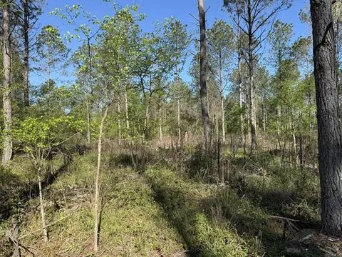 tbd Kadoha Rd, Murfreesboro, AR 71958 photo 3