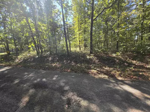 11 Eagle Pass, Ozark Acres, AR 72482 photo 8