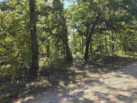 11 Eagle Pass, Ozark Acres, AR 72482 photo 12