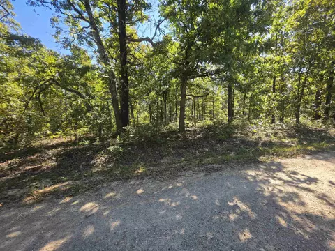 11 Eagle Pass, Ozark Acres, AR 72482 photo 14