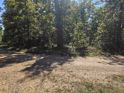 11 Eagle Pass, Ozark Acres, AR 72482 photo 4