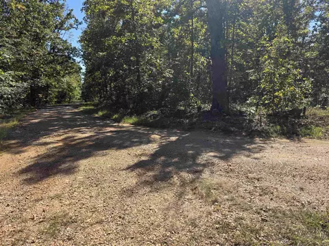 11 Eagle Pass, Ozark Acres, AR 72482 photo 5