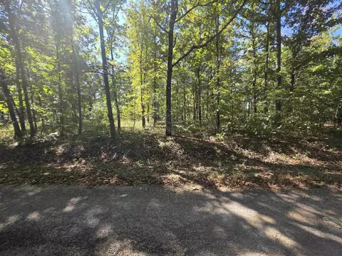 11 Eagle Pass, Ozark Acres, AR 72482 photo 7