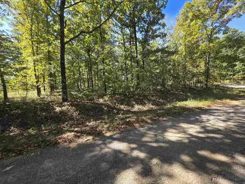 11 Eagle Pass, Ozark Acres, AR 72482 photo 2