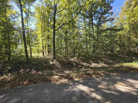 11 Eagle Pass, Ozark Acres, AR 72482 photo 9