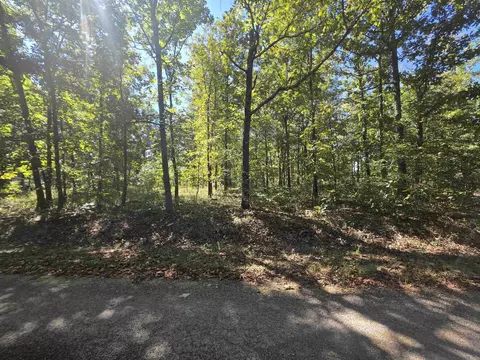11 Eagle Pass, Ozark Acres, AR 72482 photo 10