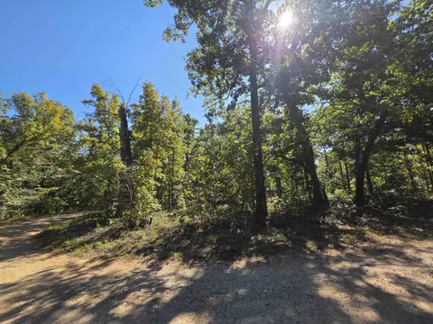 11 Eagle Pass, Ozark Acres, AR 72482 photo 3