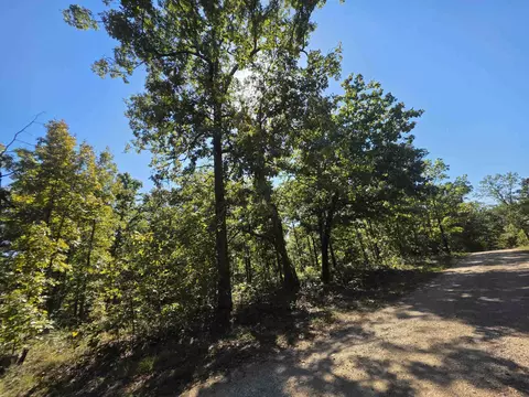 11 Eagle Pass, Ozark Acres, AR 72482 photo 13