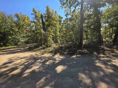 11 Eagle Pass, Ozark Acres, AR 72482 photo 11