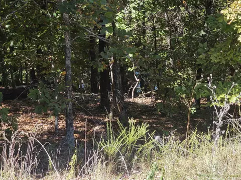 2 San Juan Drive, Cherokee Village, AR 72529