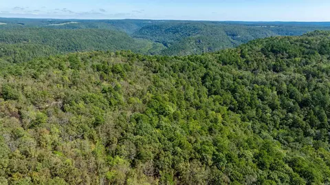00 Porter Rd, Shirley, AR 72153 photo 10