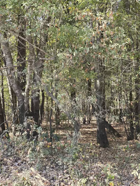 tbd Tucker Rd, Searcy, AR 72143 photo 2