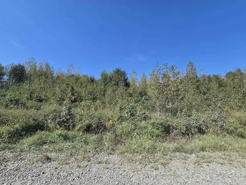 tbd Tucker Rd, Searcy, AR 72143 photo 3