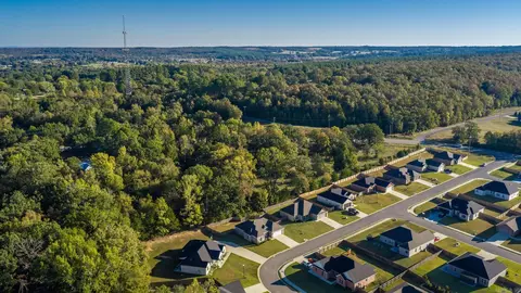 View/Area - 61 Lewis Loop, Greenbrier, AR 72058 photo 2 of 7