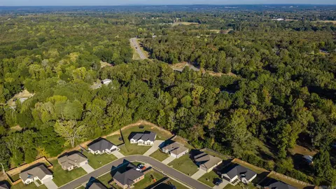 View/Area - 61 Lewis Loop, Greenbrier, AR 72058 photo 4 of 7