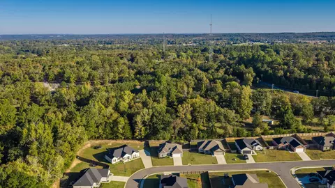 View/Area - 61 Lewis Loop, Greenbrier, AR 72058 photo 3 of 7