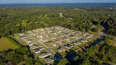View/Area - 61 Lewis Loop, Greenbrier, AR 72058 photo 5 of 7