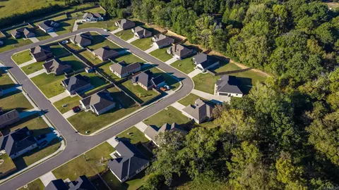 View/Area - 61 Lewis Loop, Greenbrier, AR 72058 photo 7 of 7