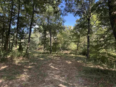 Exterior - 138 Polk Road 29, Hatfield, AR 71945 photo 8 of 12