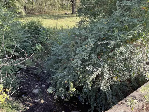 View/Area - 138 Polk Road 29, Hatfield, AR 71945 photo 2 of 3