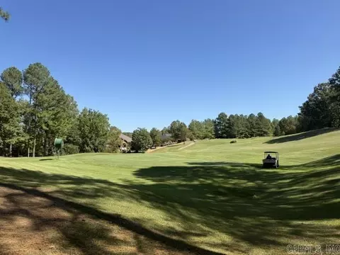 59 Elcano Dr, Hot Springs Village, AR 71909