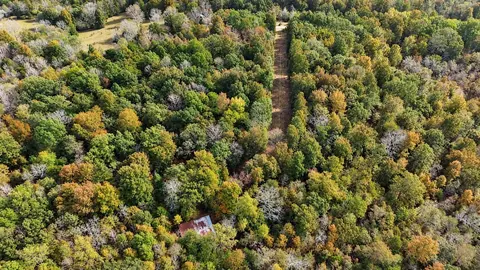 990 Moore Rd, Evening Shade, AR 72532 photo 6