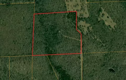 990 Moore Rd, Evening Shade, AR 72532 photo 5
