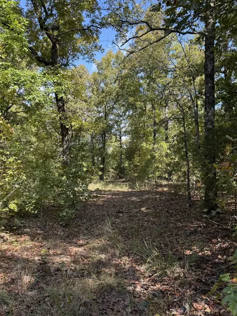 990 Moore Rd, Evening Shade, AR 72532 photo 3