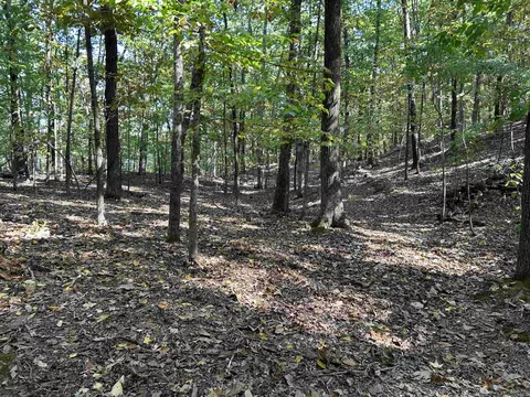 0 Lakefront Rd, Quitman, AR 72131 photo 17