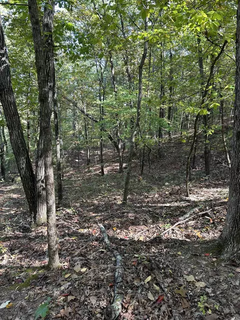 0 Lakefront Rd, Quitman, AR 72131 photo 22