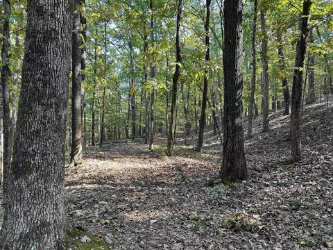 0 Lakefront Rd, Quitman, AR 72131 photo 20