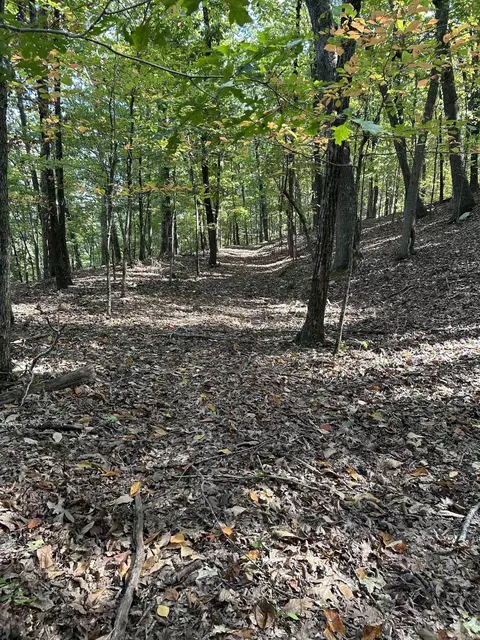 0 Lakefront Rd, Quitman, AR 72131 photo 16
