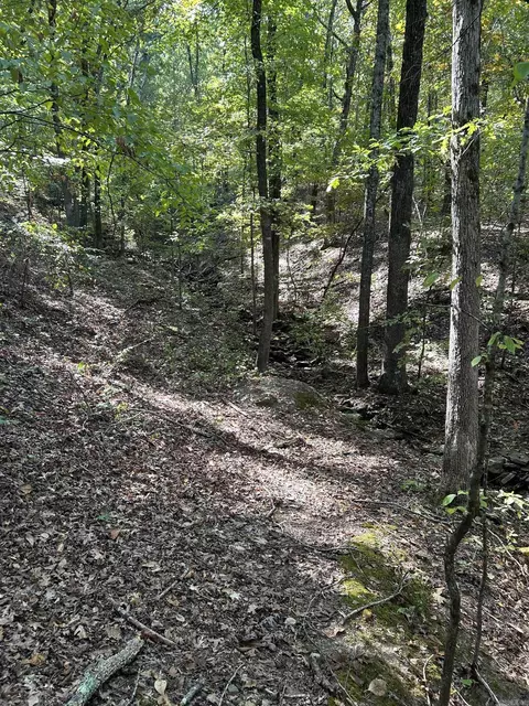 0 Lakefront Rd, Quitman, AR 72131 photo 15