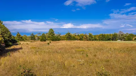 0 Blackjack Rd, Greenbrier, AR 72058 photo 4