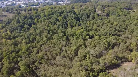 tbd Race Track Rd, Mena, AR 71953 photo 4