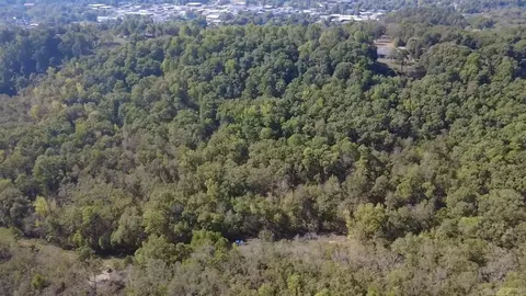 tbd Race Track Rd, Mena, AR 71953 photo 11
